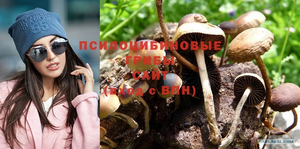 мдпв Балабаново