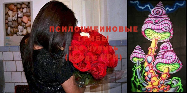 мдпв Балабаново