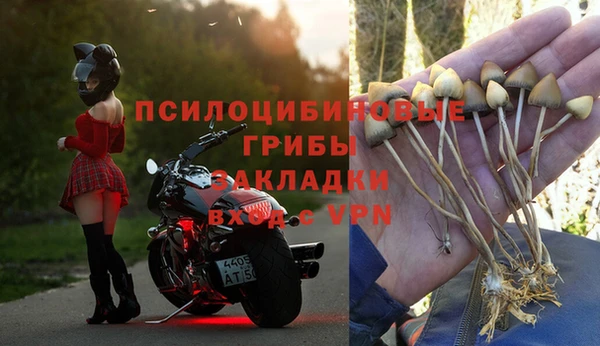 ALPHA PVP Беломорск