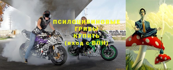 гашик Балахна