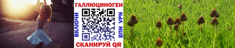 mega ONION  Кохма  Псилоцибиновые грибы MAGIC MUSHROOMS  закладка 