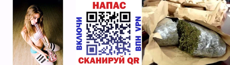 Марихуана гибрид Кохма
